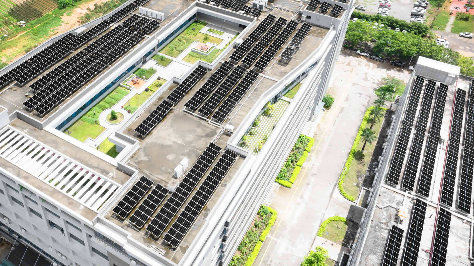 珠；诳萍及咐