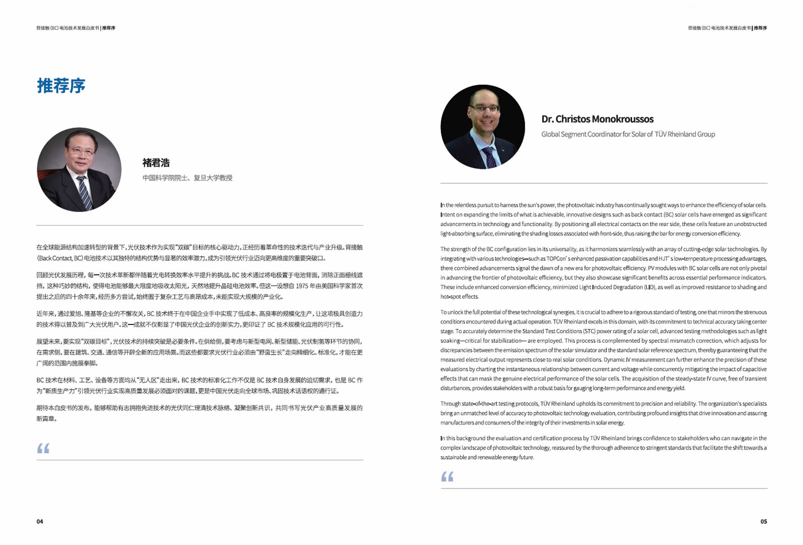 背接触（BC）电池手艺生长白皮书